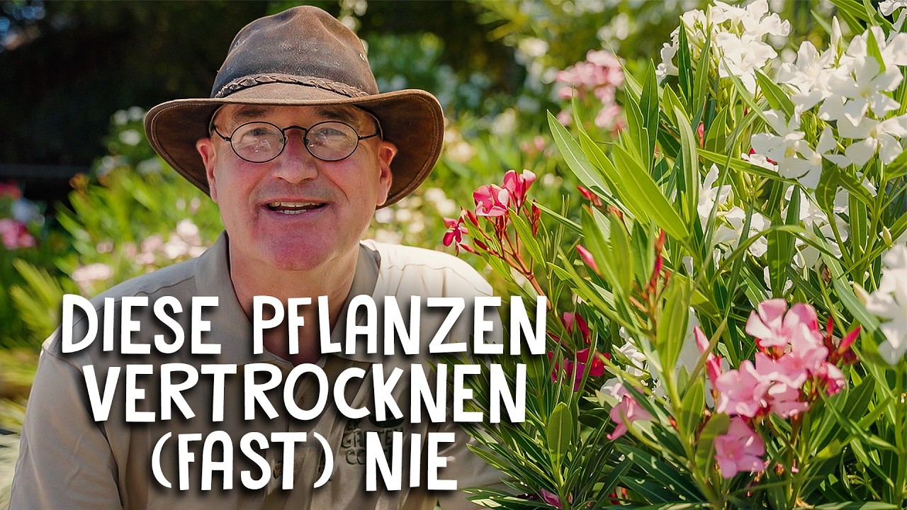 10 Pflanzen für trockene Standorte 🌞 - So übersteht dein Garten die Hitze!