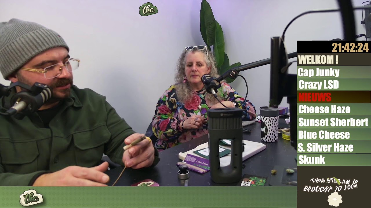 TESTING OLD SKOOL STRAINS from GROWERY with Chaotic Old Skooler MARA - LEGAL REVIEWS