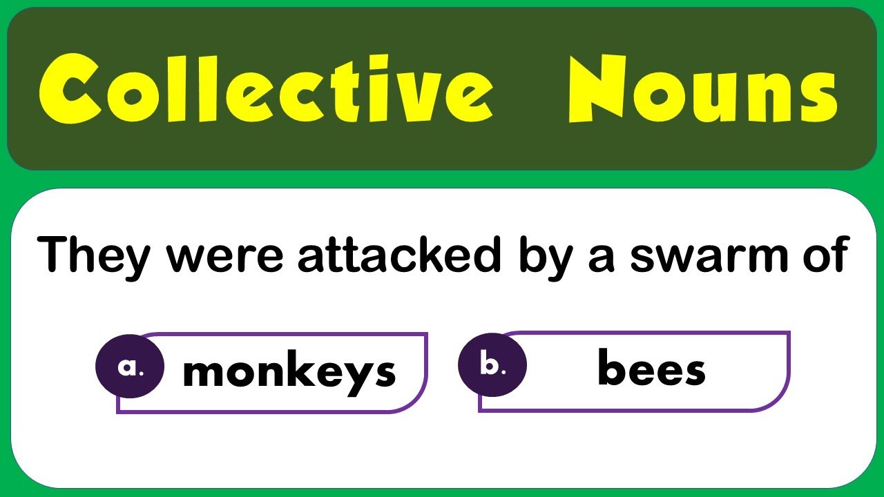 Collective Nouns Quiz / 15 Questions