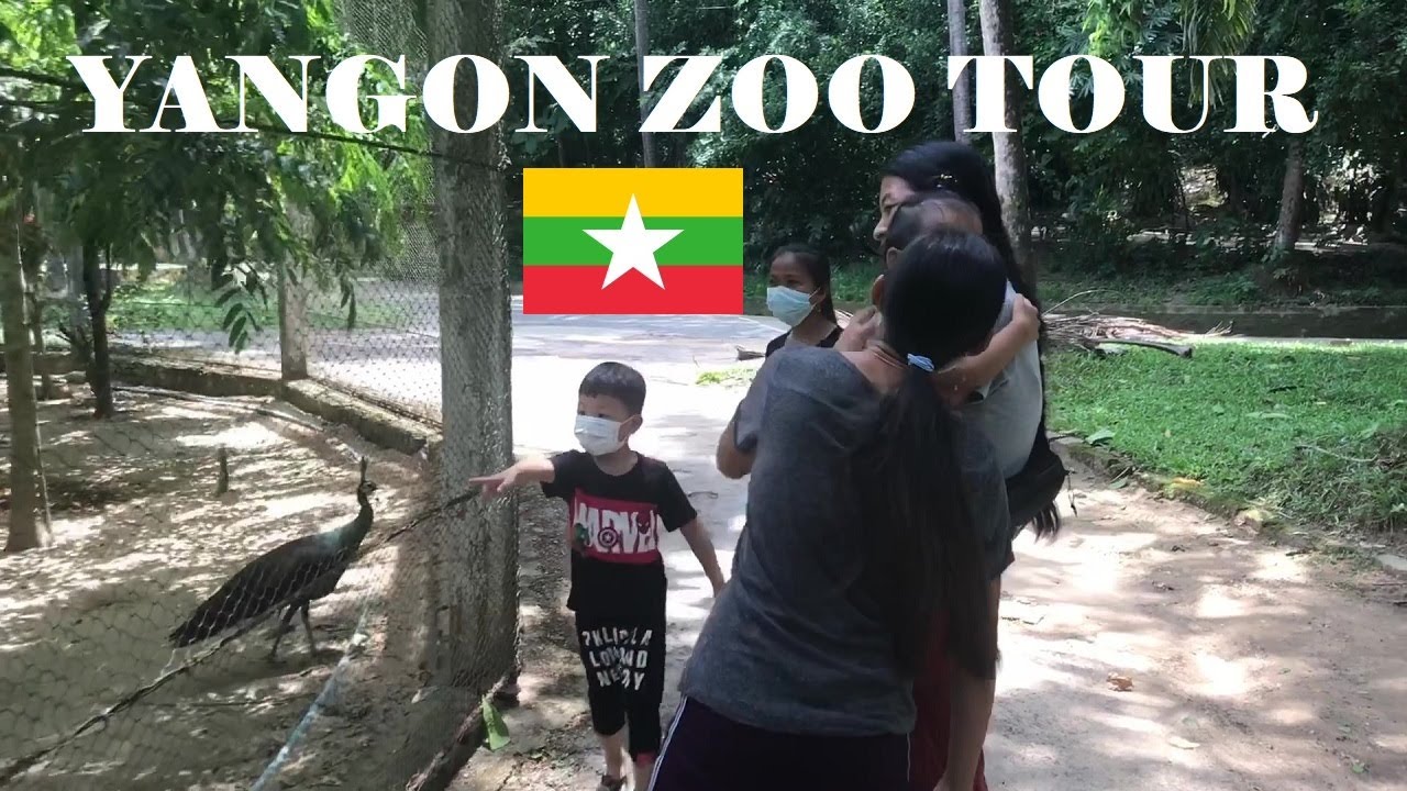 YANGON ZOO TOUR 🇲🇲