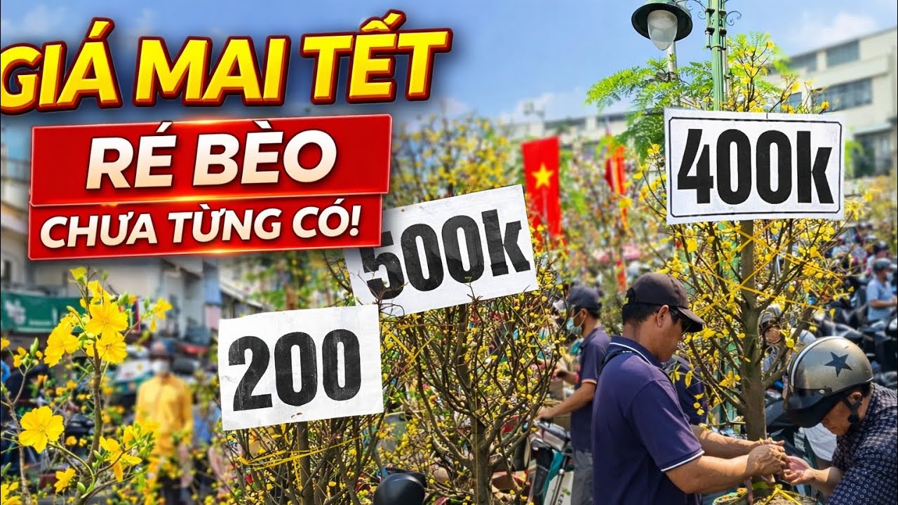 Chưa Năm Nào Giá Mai Tết Rẻ Bèo Như Năm Nay Chợ Hoa Tết 2026 Bến Bình Đông Sáng 22 Tết