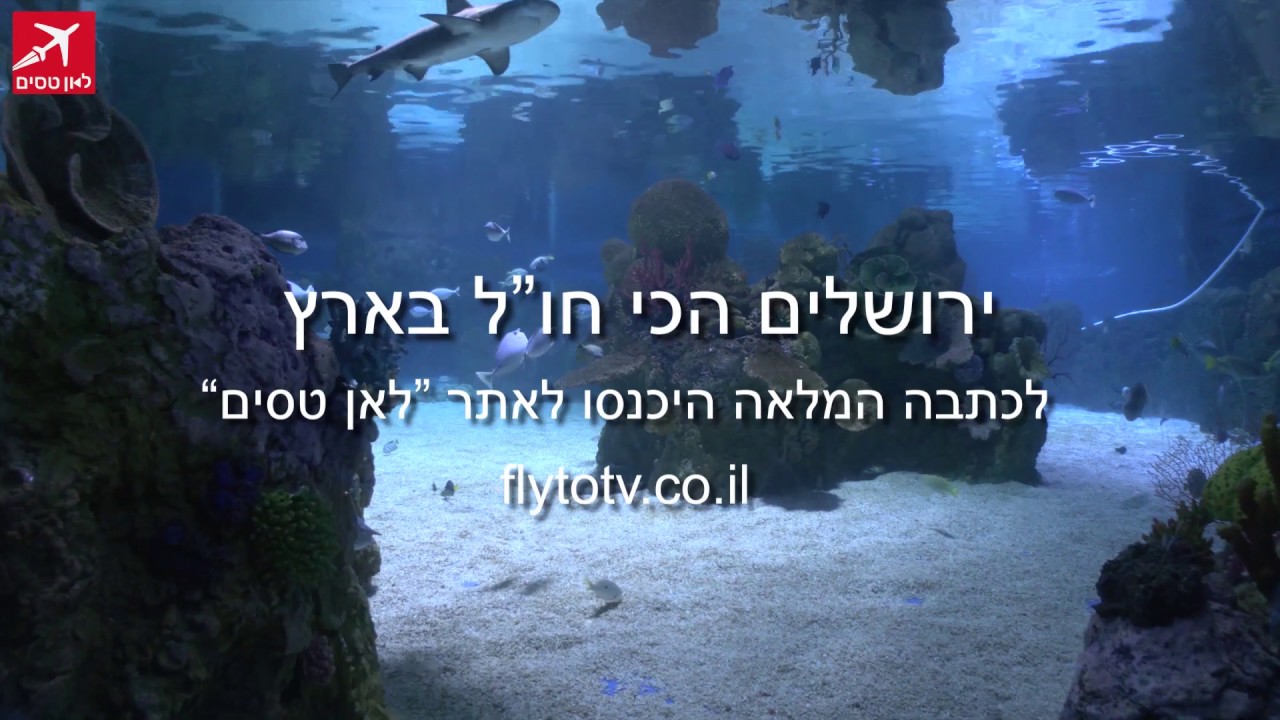 אקווריום ישראל וגן החיות התנכי