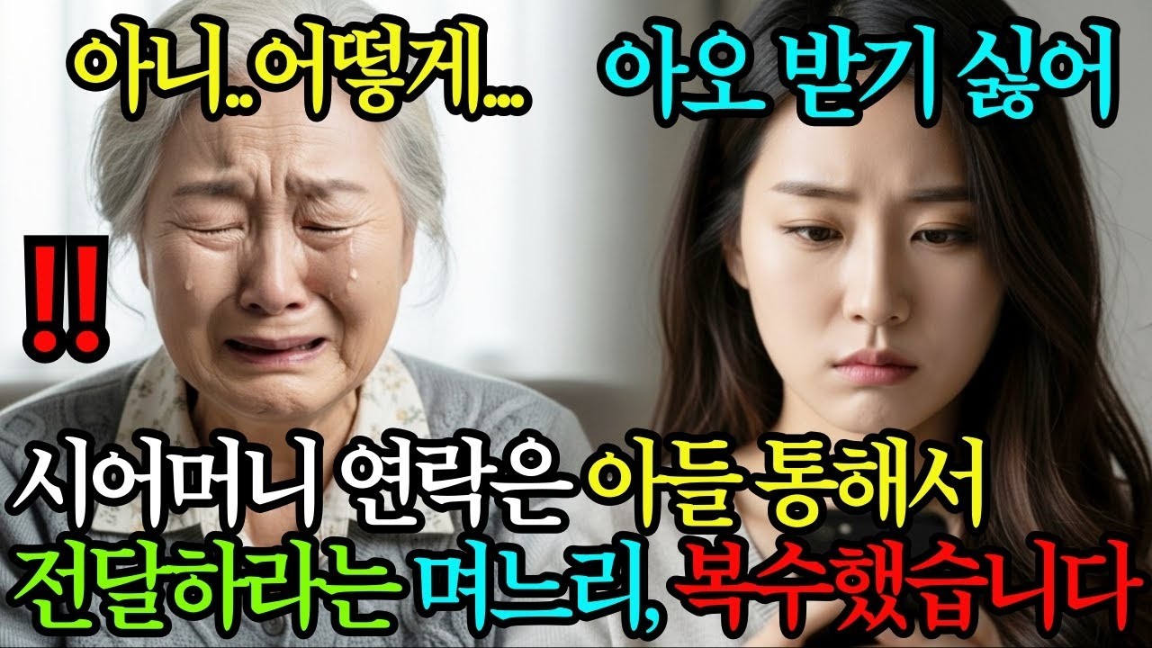시어머니 연락은 직접 받기 싫으니 아들 통해서 전달해 달라는 며느리, 집 팔아 복수했습니다