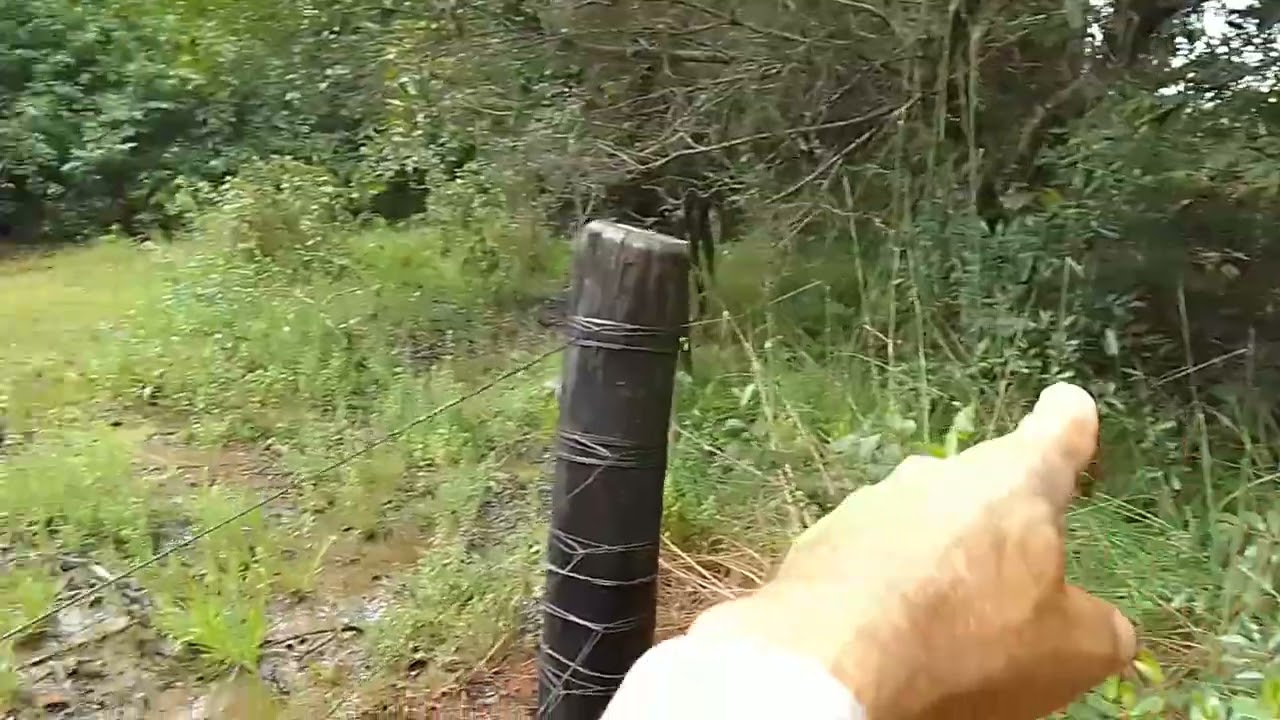 As três represas na estrada encheram, assim terá água por mais tempo na estação da seca. 