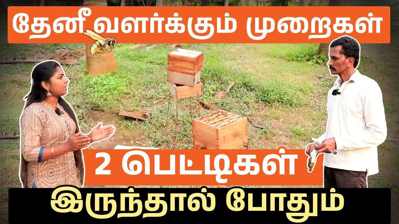 தேனீ வளர்க்க சிறந்த முறைகள் | Honey Bee Farming Ideas in Tamil