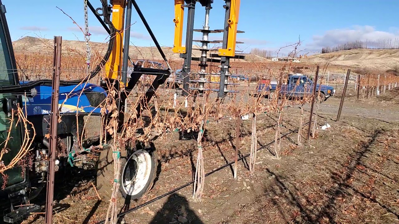 Pre-pruner in action!