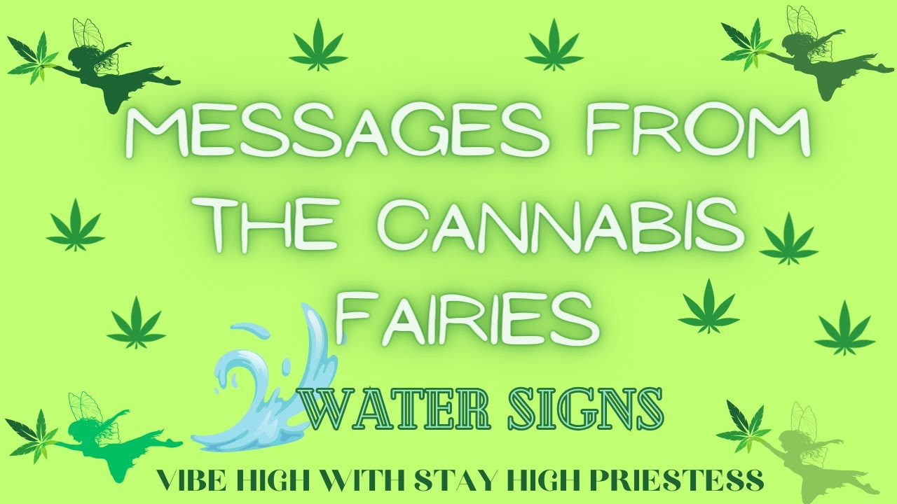TAROT READ FOR💦WATER SIGNS! 🧚CANNAFAIRY MESSAGE🧚&zwj;♀️#PISCES #CANCER #SCORPIO #420