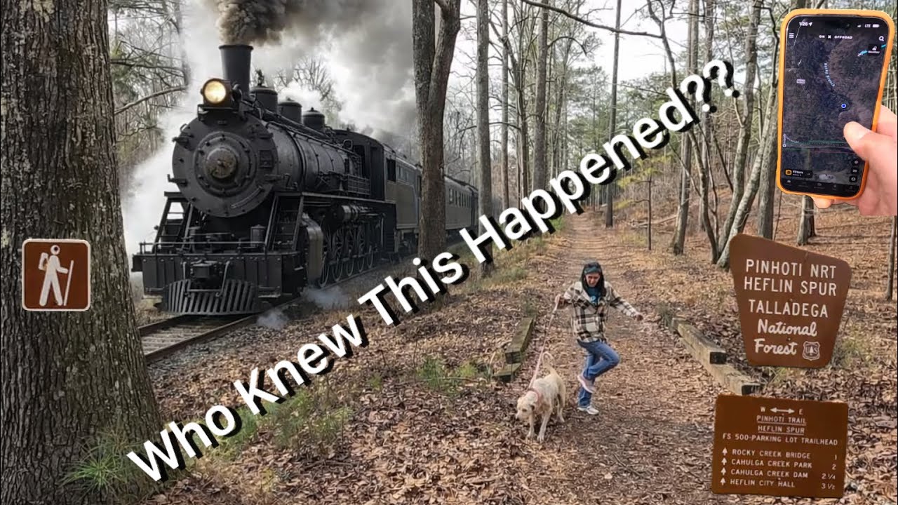 У меня возникла идея: не плохая ли она? Pinhoti FS500 Trailhead Stray Dog и фонарь TrustFire MiniX3
