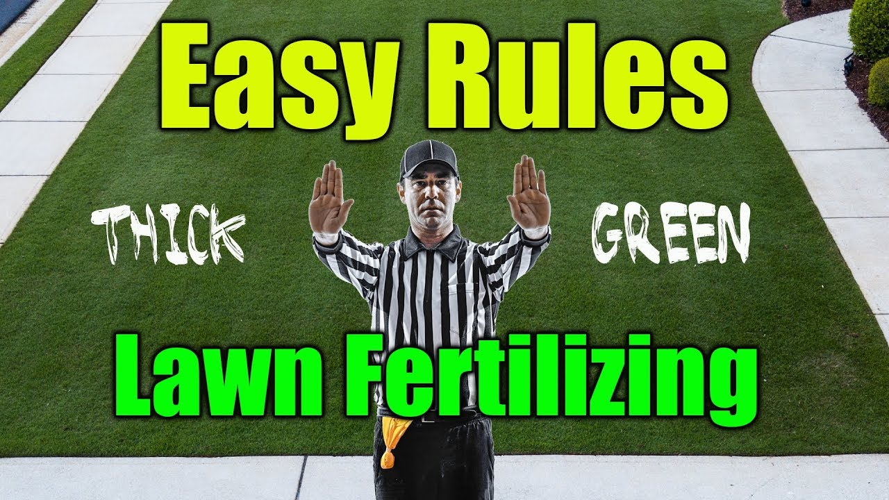 Thick Green Lawn