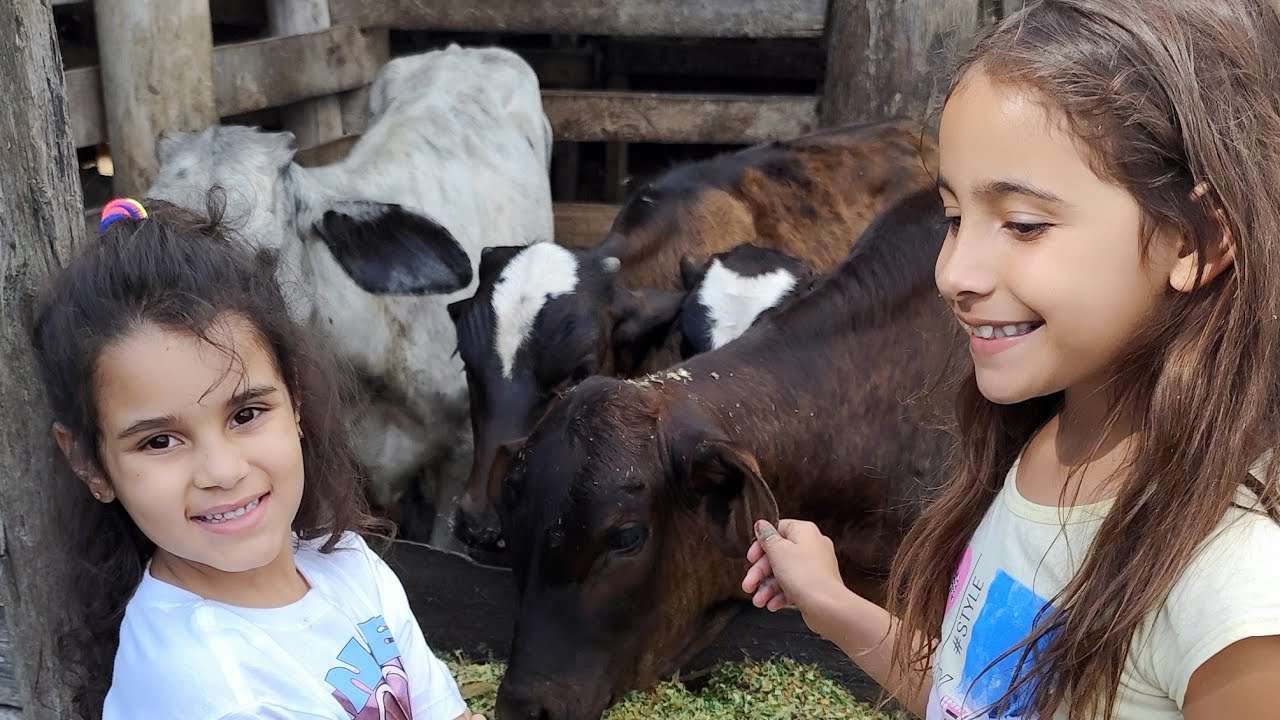 Divers&atilde;o na Fazenda - Crian&ccedil;as Brincando com Animais Ador&aacute;veis