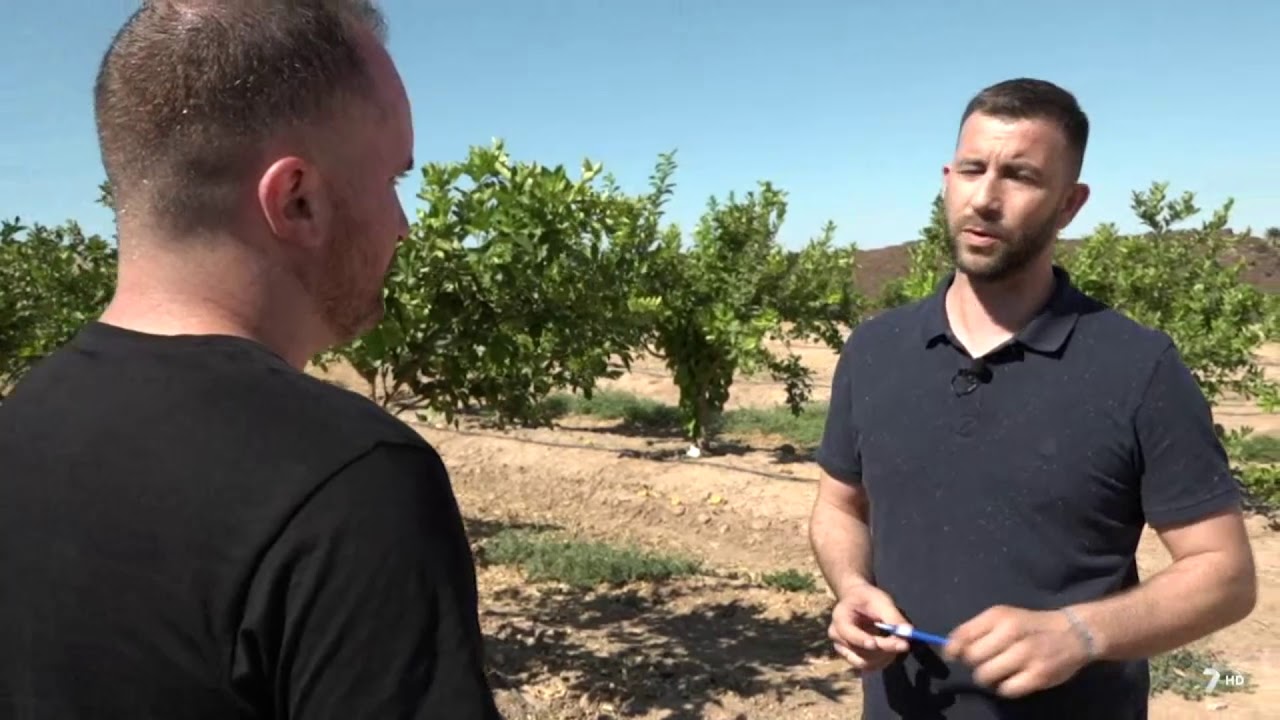 Cítricos · Sistema de goteo autocompensante UniRAM® y filtración de mallas en una finca de cítricos