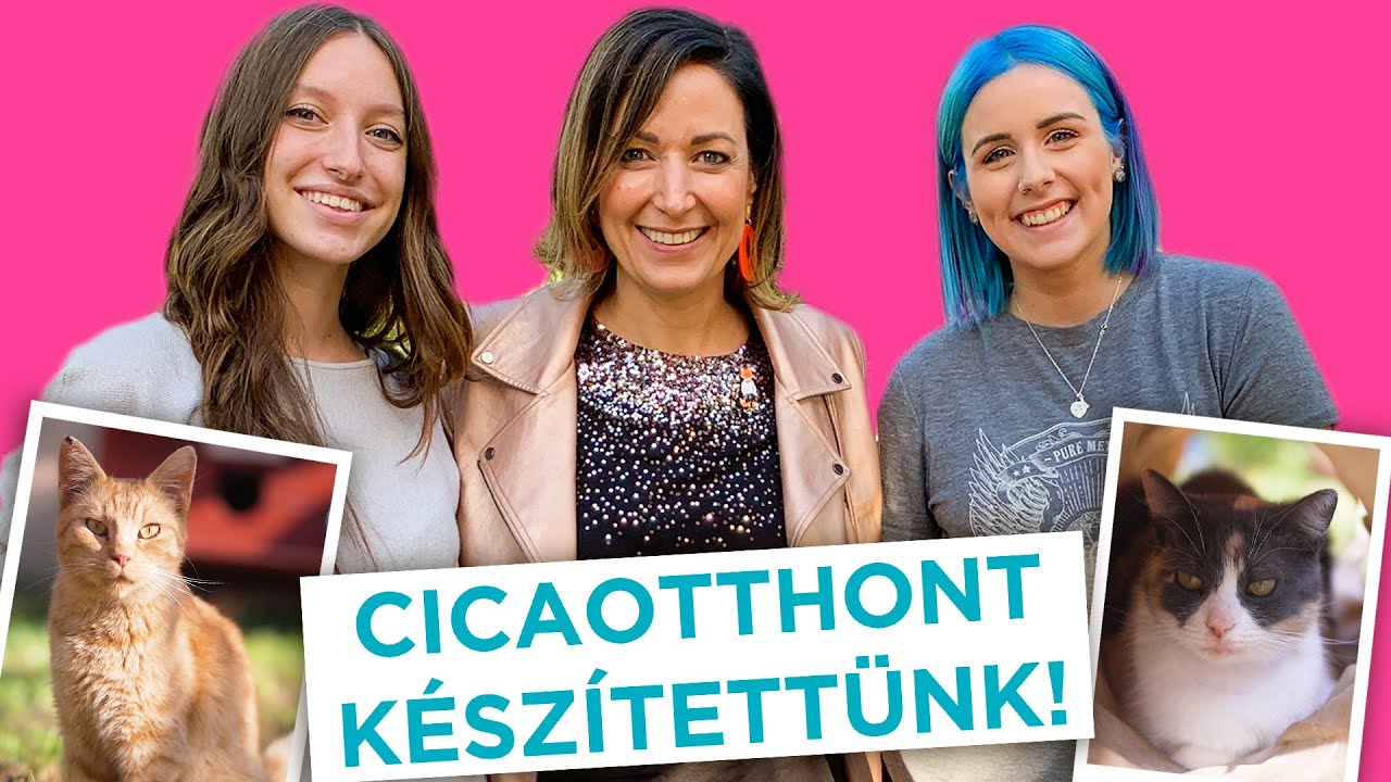 Megszépítettük a Noé Állatotthont | Emcivel, Rékával és Csillával!