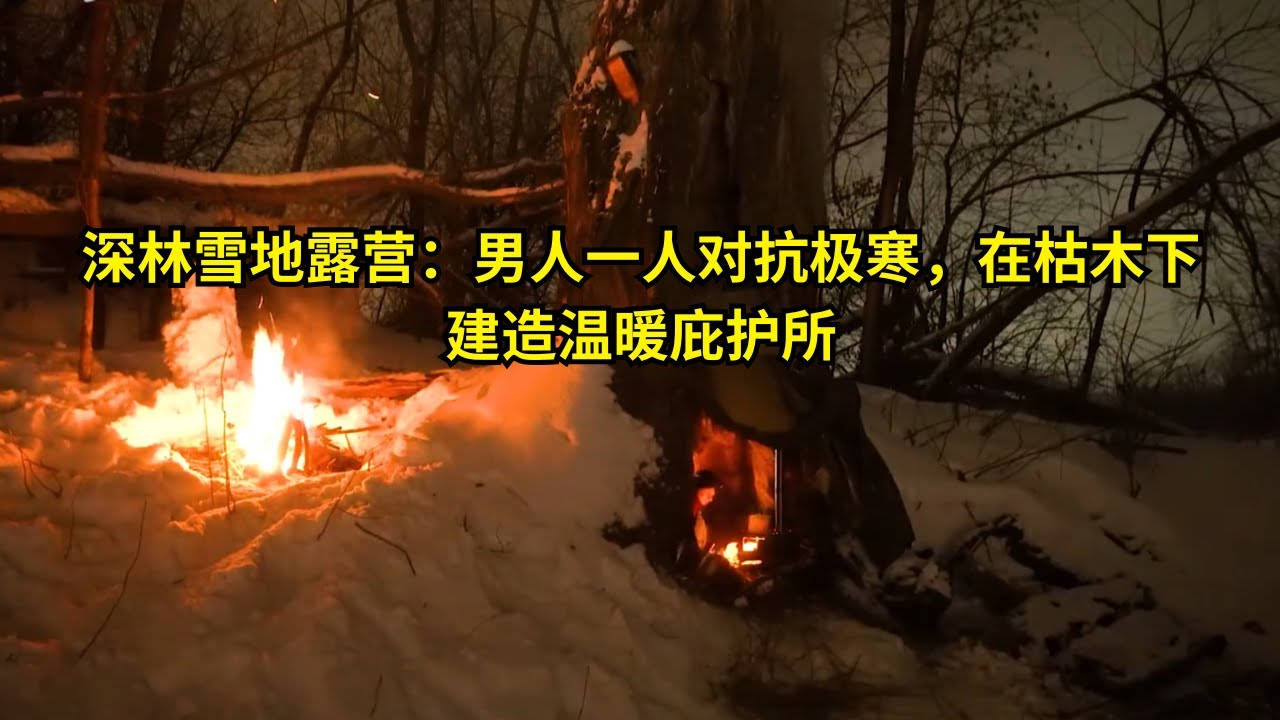 深林雪地露营：男人一人对抗极寒，在枯木下建造温暖庇护所  | 在野外建造