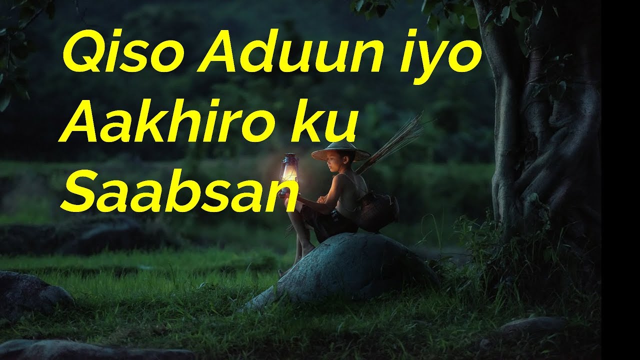 Qiso ku Cibro qaadasho leh