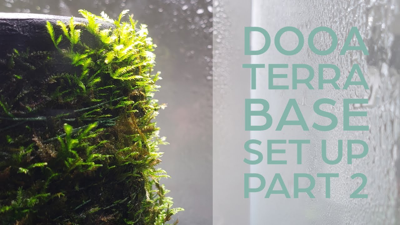 DOOA Terra Base set up | Part 2