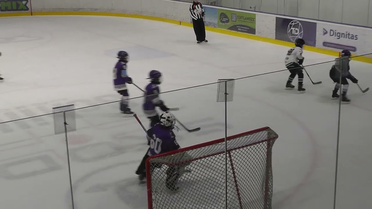EMHL 2026.01.10. Hodonin Blue - UTE 1.meccs 1. rész