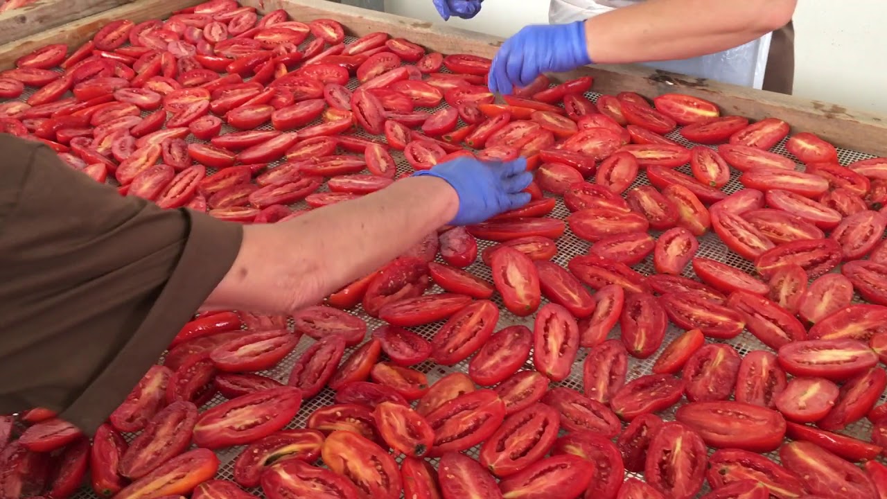 Essiccazione Cipolla e pomodoro