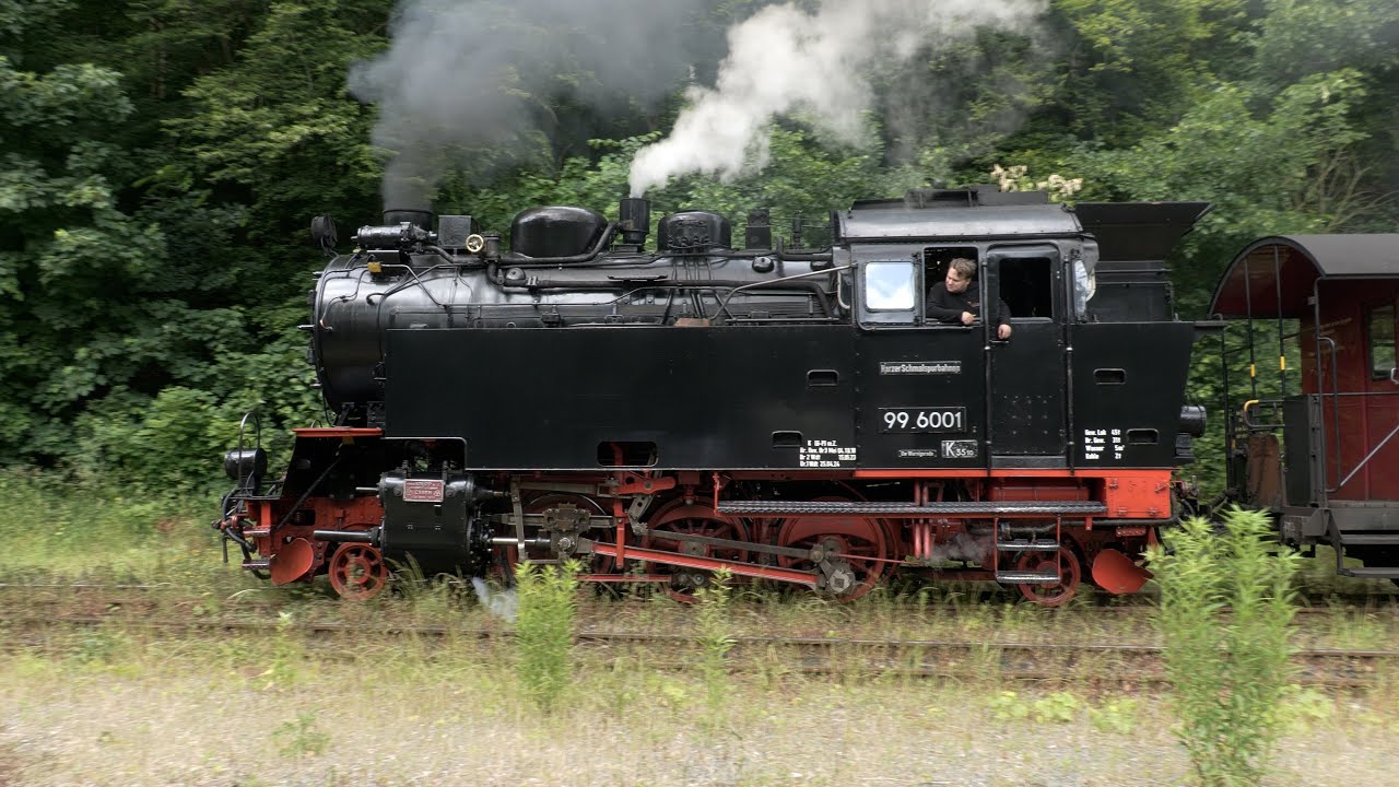 99 6001 auf der Selketalbahn 2024