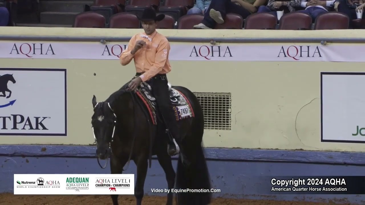 Senior Western Pleasure - 2024 AQHA World Championship Show