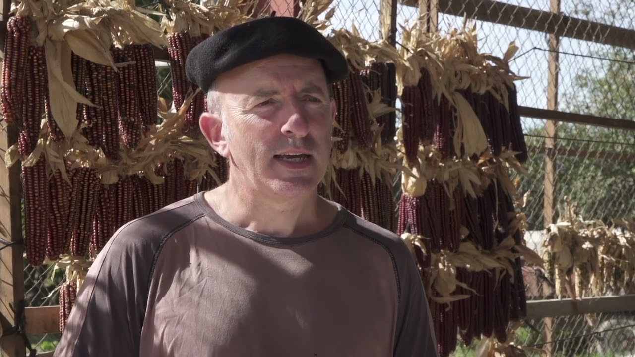 Ferme Idiartia : association Arto Gorria, collectif d'agriculteurs pour la transformation du maïs