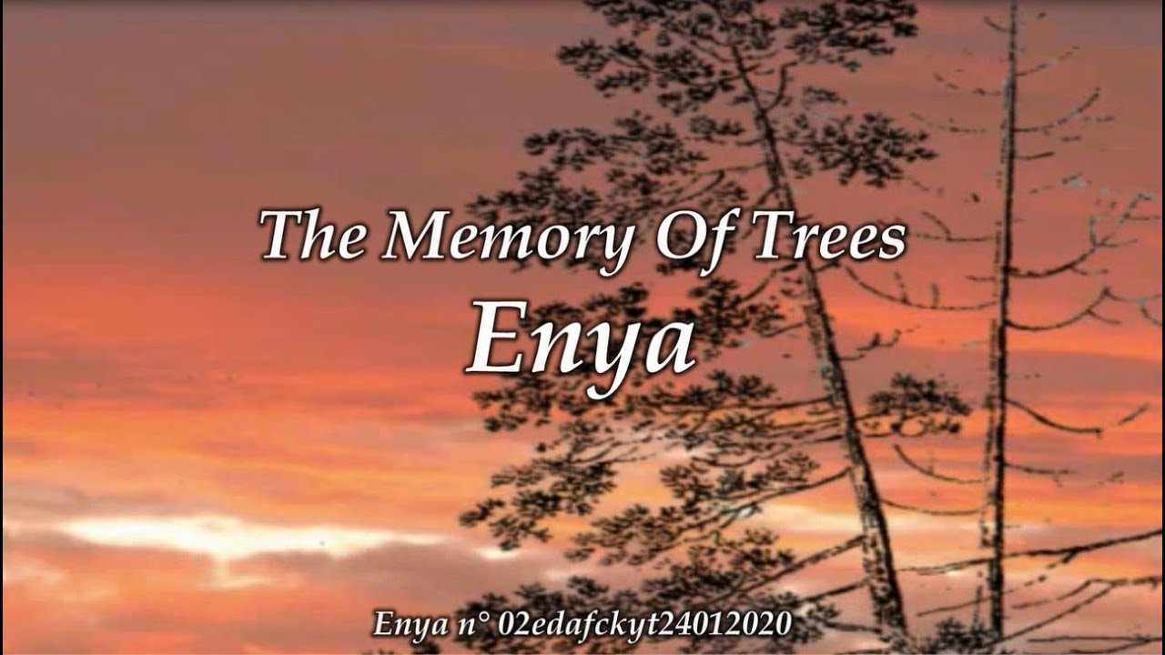 Enya - The Memory Of Trees