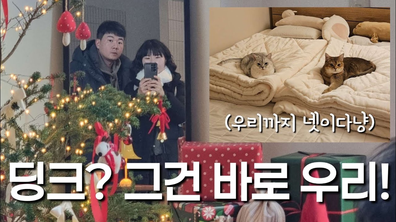 36세에 결혼, 딩크의 이유! (딩크 6년차)