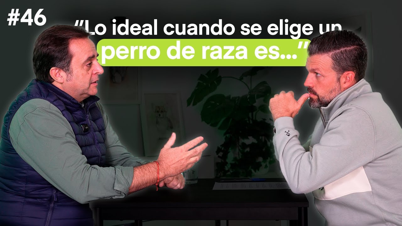 Ep 46: Jose Miguel Doval, Presidente de la RSCE, retos de la cinofilia, estatutos, nuevas leyes