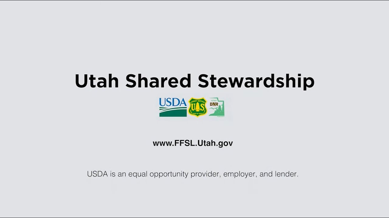 Parley's Canyon Watershed Restoration Shared Stewardship Project