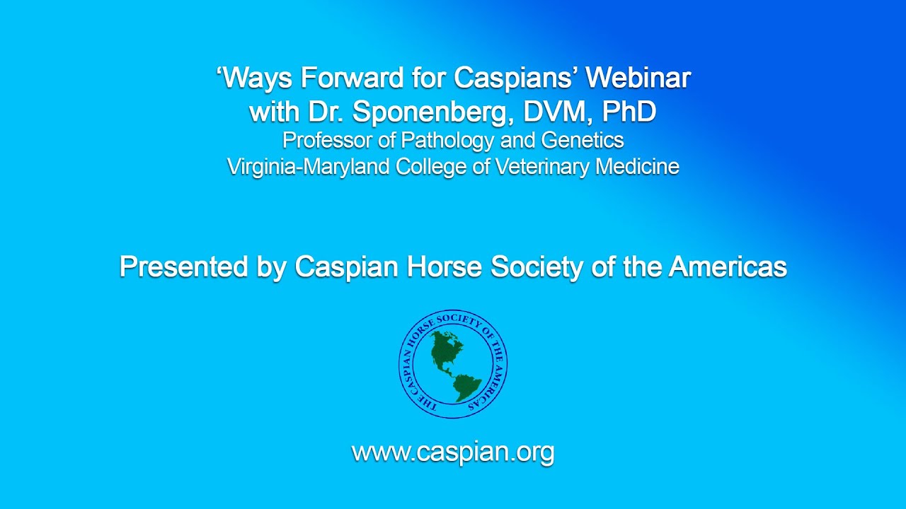 Ways Forward for Caspians with Dr Sponenberg