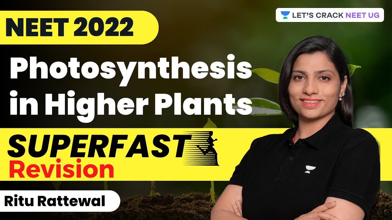 Phoenix 2.0: Biology Most Important Video for NEET 2025 | Udaan