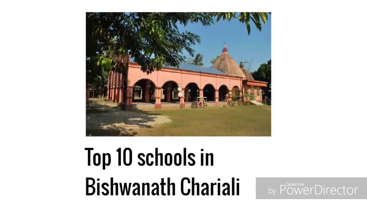 Top 10 schools in Biswanath chariali