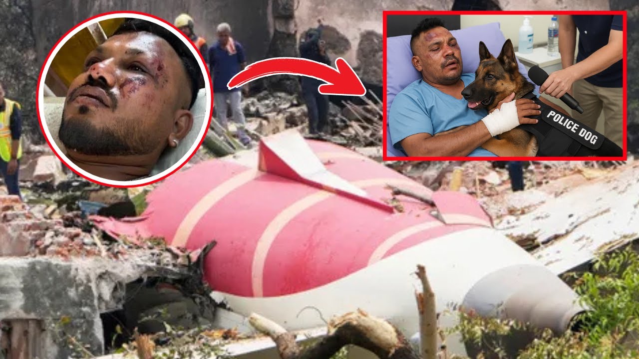 Air India disaster – British man is miracle survivor saved by police dog among more than 240 killed