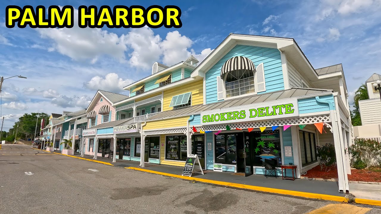 Palm Harbor Florida Driving Through