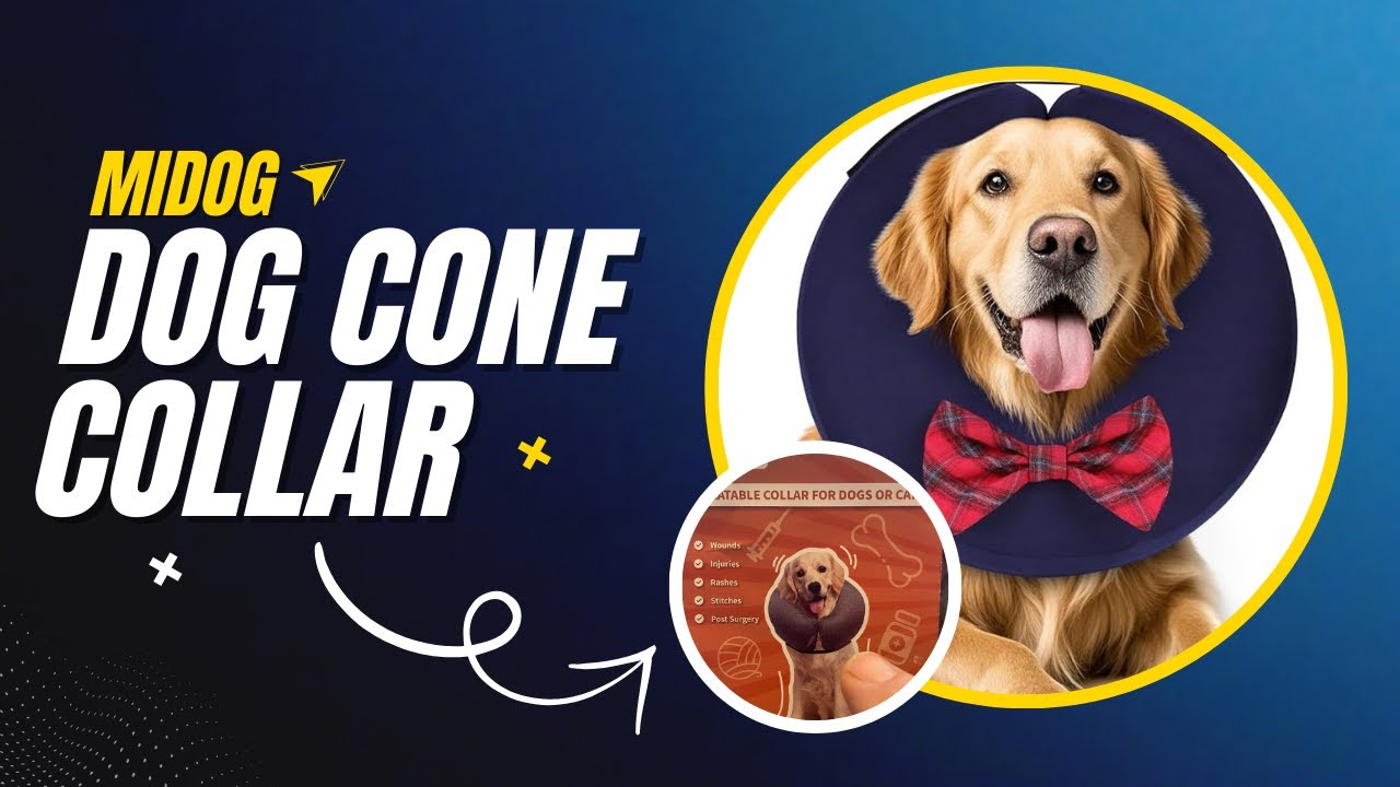 Inflatable Dog Cone Review | Comfortable Recovery Collar