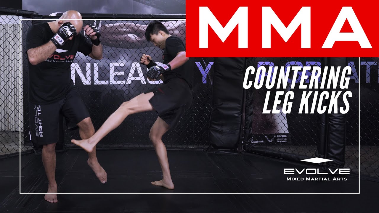 MMA | Countering Leg Kicks In Mixed Martial Arts