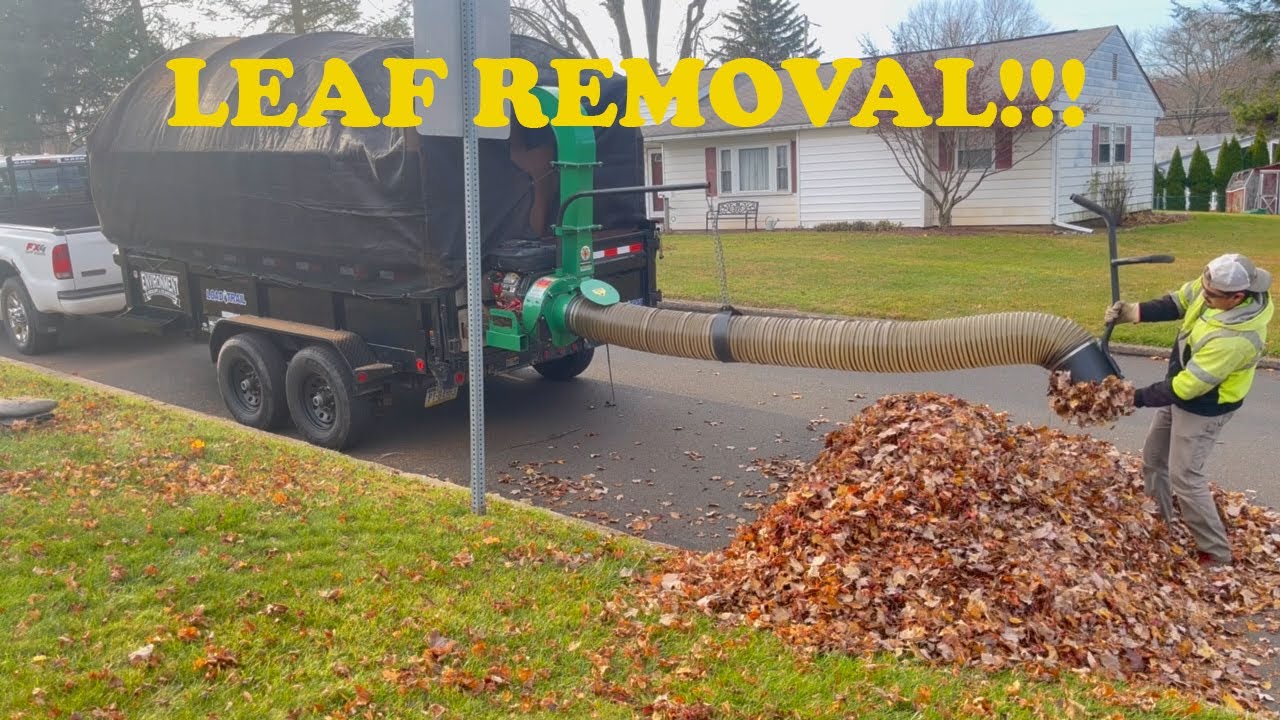 Leaf Removal Billy Goat PA!!!