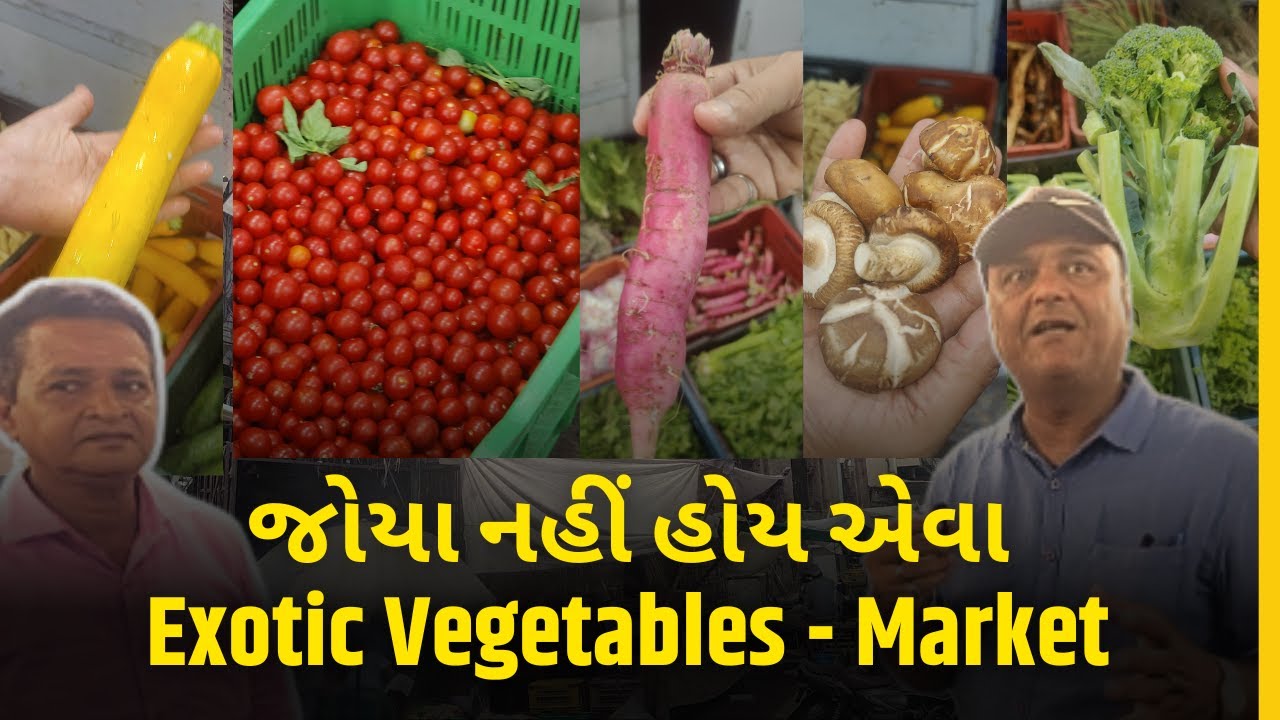 તમે જોયા નહીં એવા Exotic Vegetables Ahmedabad Manekchowk માં