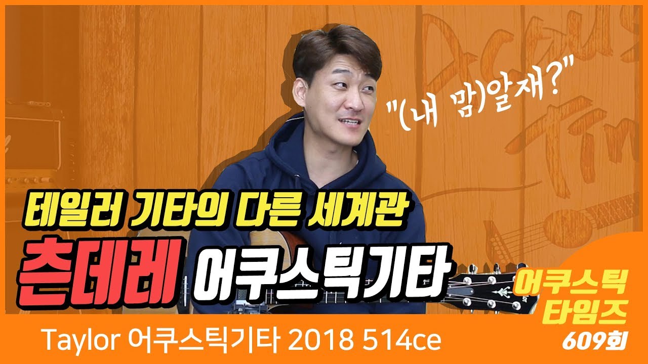 Taylor 어쿠스틱기타 2018 514ce