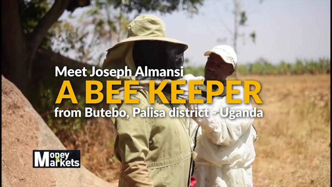 Commercial Bee Keeper in Uganda