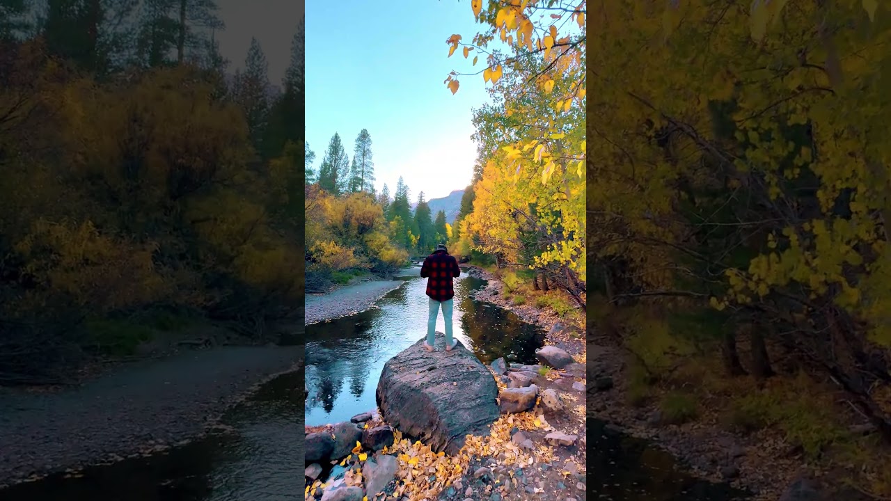 Fall in California looks like this. Shot in June Lake up in the Eastern Sierras October 12 last year