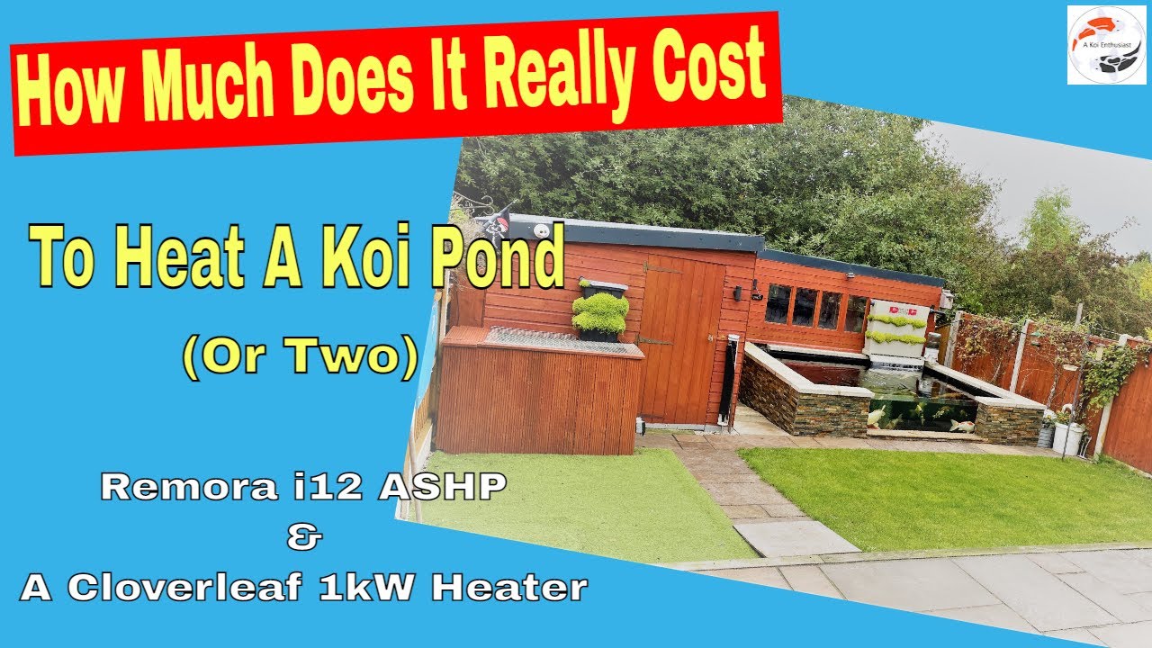 How Much Does It Really Costs To Heat A Koi Pond (Or Two) A Remora i12 ASHP & Cloverleaf 1kW Heater