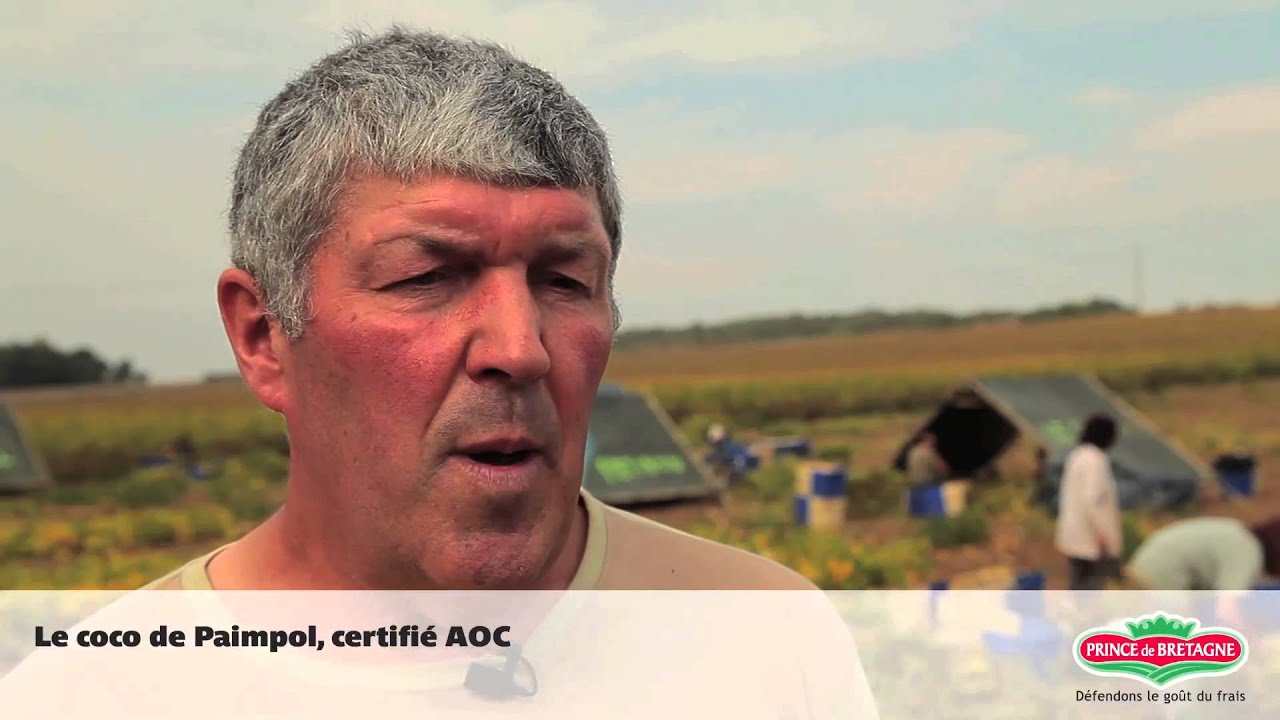 Le coco de Paimpol, certifié AOC