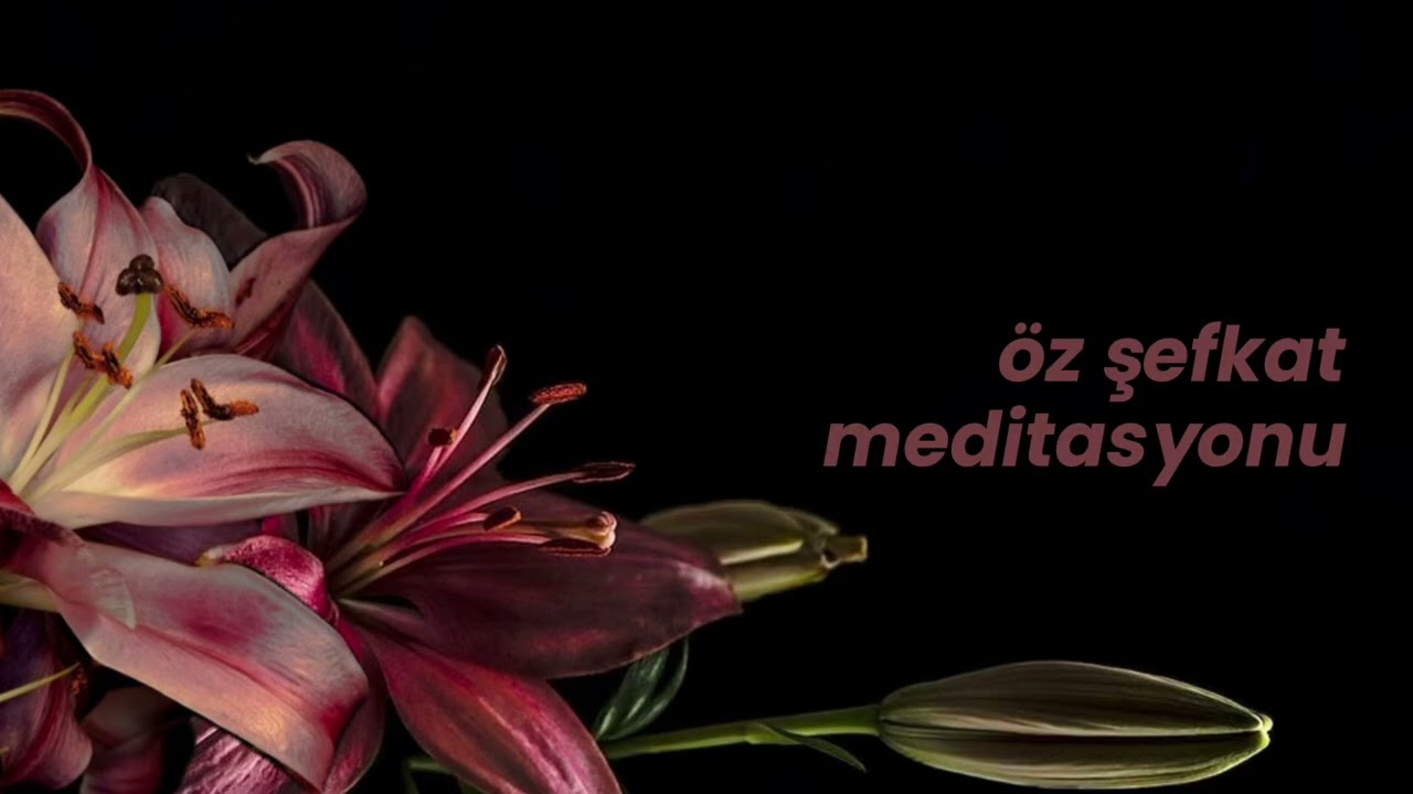 &ouml;z şefkat meditasyonu | nefes, beden farkındalığı ve kendine şefkat