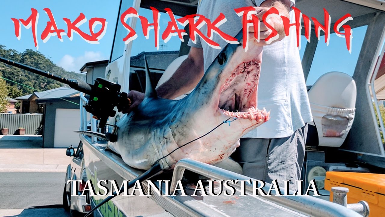 Mako Shark Fishing Tasmania Australia