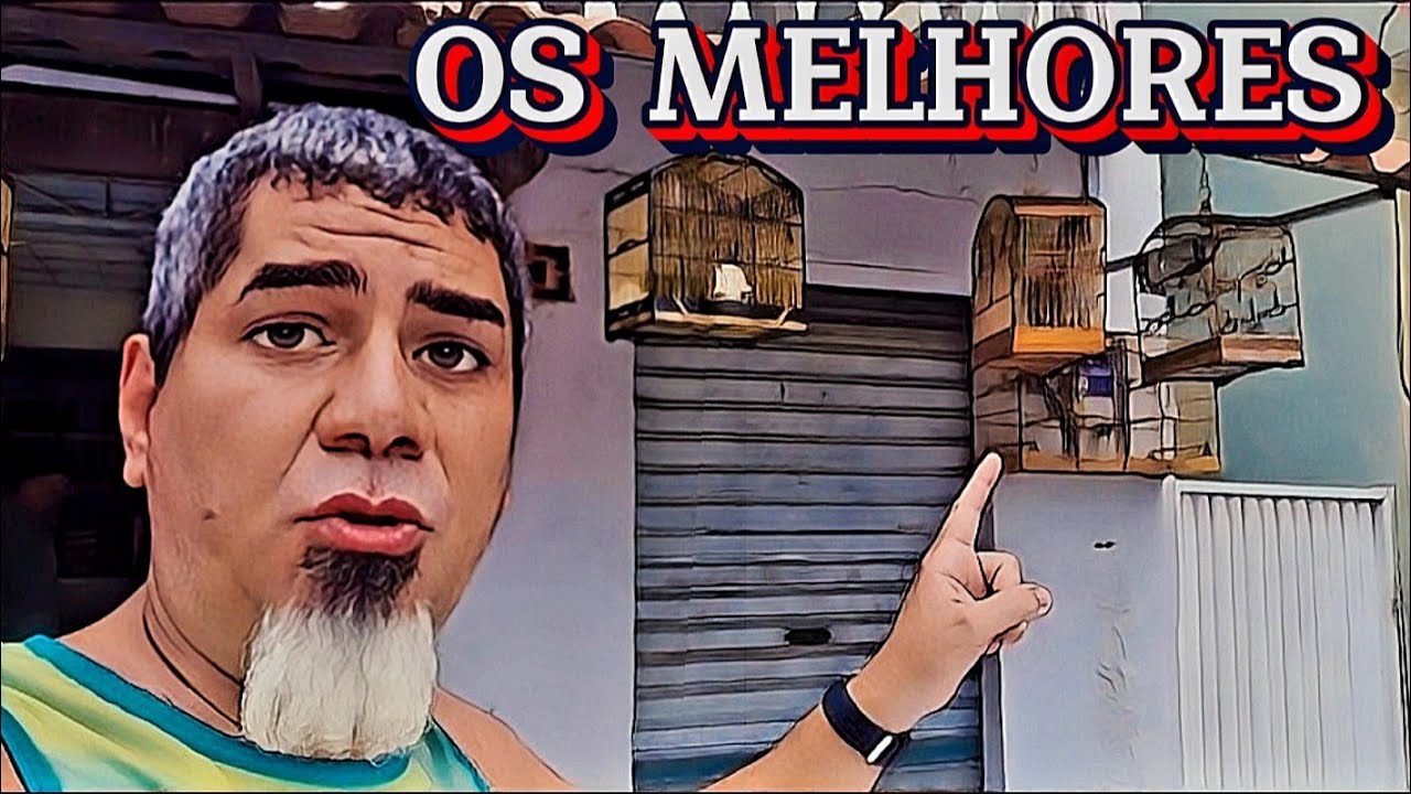 SÓ COLEIROS TOPS NA BADERNA 