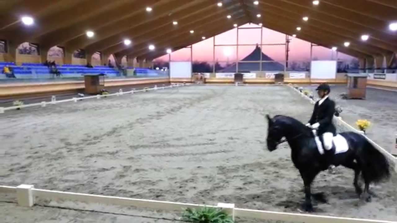 Ulrich ripresa E 200 dressage Sommacampagna nov 2012