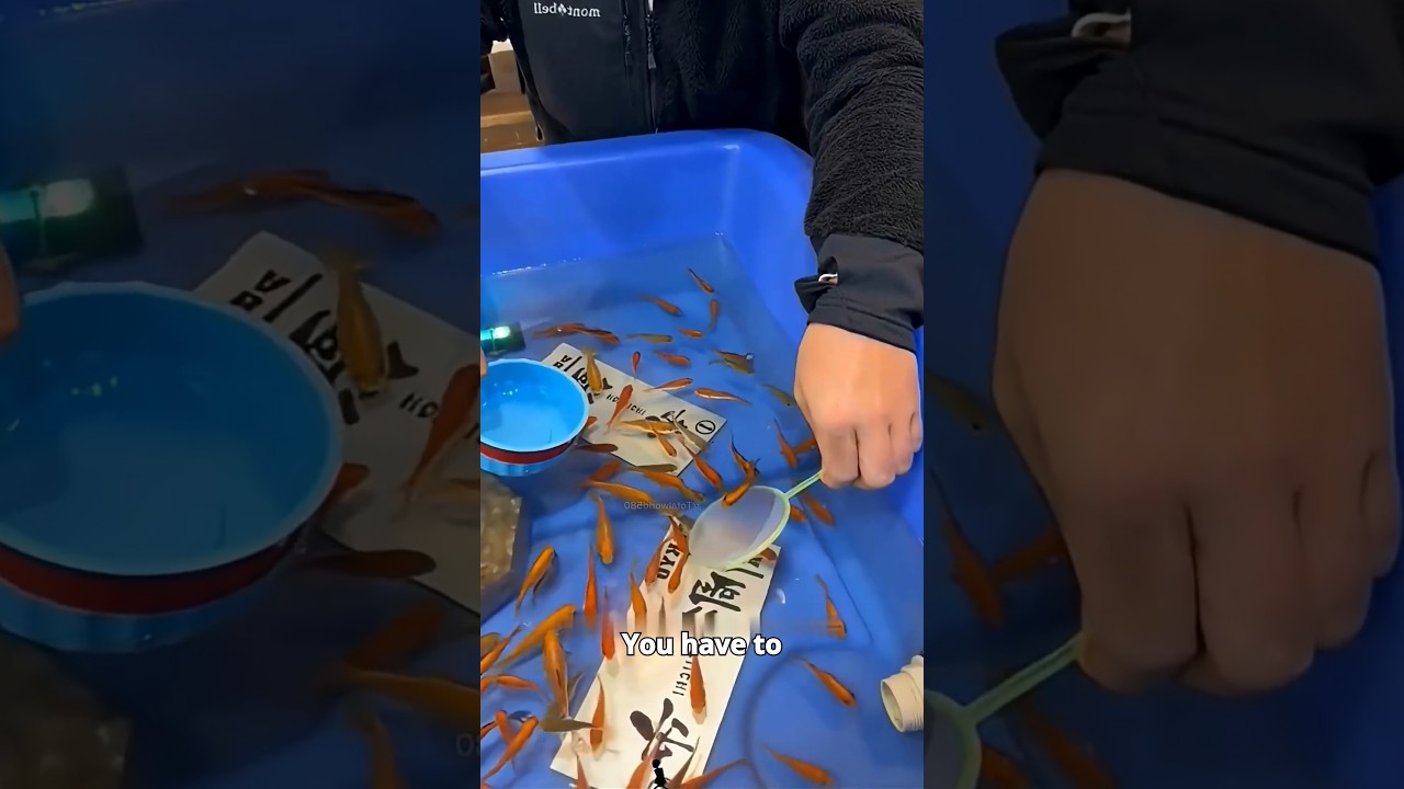 Unique Chinese Fishing Game 🎣🤯 