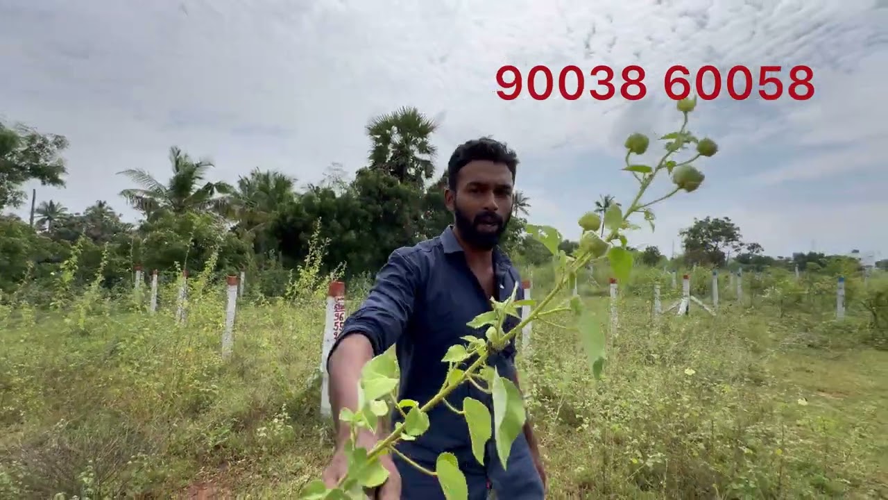 தென்காசிக்கு அருகில் உள்ள ஐடி முக்கு (ஹாட் ஸ்பாட் ரெஸ்டாரன்ட்) அருகில் அருமையான இடம் விற்பனைக்கு