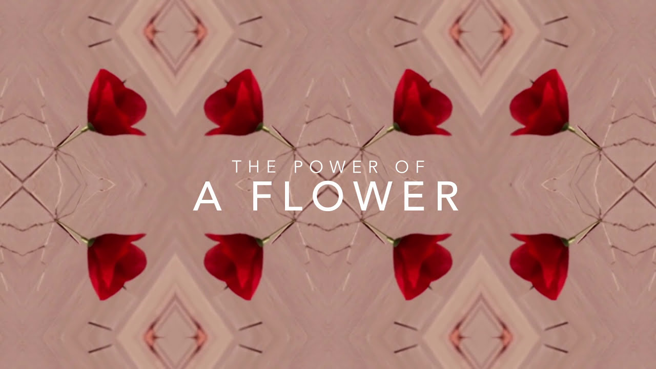FLOWER BY KENZO - THE POWER OF A FLOWER