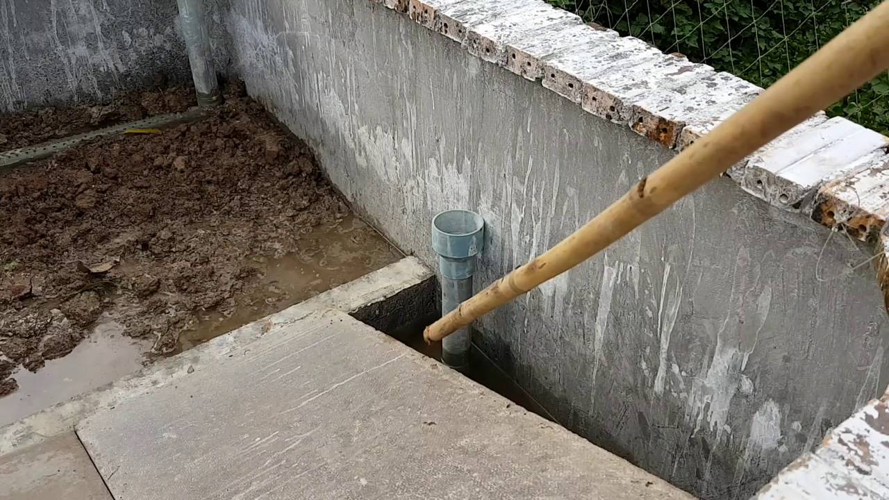 Kỹ thuật nuôi cua đinh